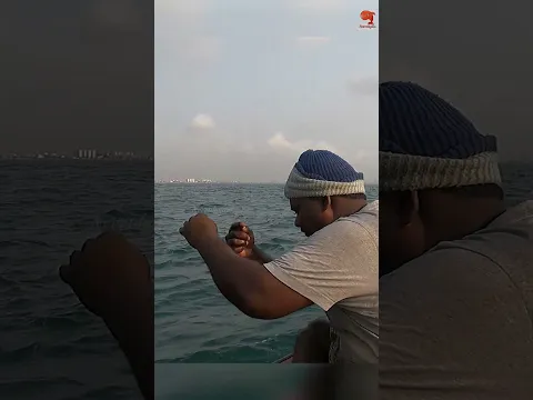 Hooked on Squid – Barracuda Fishing Adventure! #fishing #fishingvideos #fishingtime