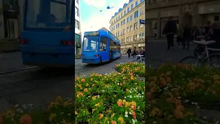 من اجمل الاماكن في ميونخ المانيا 