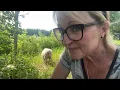 Download Lagu UNELMIA TOTEUTUU TYÖN LOMASSA 💞