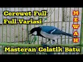 Download Lagu Masteran gelatik full isian durasi 3 jam