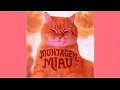 Lenar - MONTAGEM MIAU (Ultra slowed \u0026 reverb)| 𝙏𝙞𝙠𝙏𝙤𝙠 𝙚𝙙𝙞𝙩𝙨 | Phonk