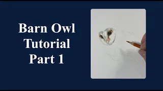 Barn Owl Tutorial Part 1 Colour pencil Gemma Dilks Art Artist Tutorial