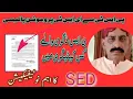 Promotion Files Required for PST to EST General Cadre 50 In-Service Quota 2025 Punjab SED