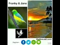 Download Lagu Kepada angin dan burung burung , by Franky \u0026 Jane