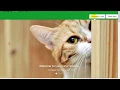 PHP Web Development Bootstrap Episode 12