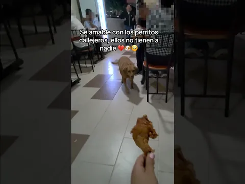 Pobrecito el solo quería un poquito de comidita 😢🐶💔 #perro #dog #perros