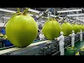Lagu Inside a Modern Coconut Factory: From Fresh Coconuts to Premium Coconut Water (Full Process)