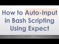 How to Auto-Input in Bash Scripting Using Expect