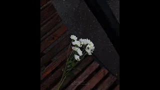 Let Me Down Slowly Alec Benjamin Alessia Cara Lyrics 