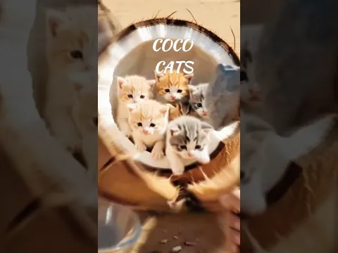 Cutting Giant Fruits with Precision for Deep ASMR Tingles #asmr #shorts #cat