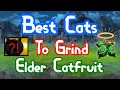 BEST CATS You MUST Use To GRIND ELDER CATFRUIT The Battle Cats