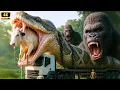 King Kong vs Monsters Full Movie | Epic Battle with Giant Anaconda 4K