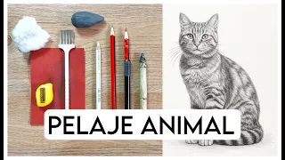 PELAJE ANIMAL - Todo lo que NECESITAS saber para dibujarlo