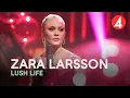 Download Lagu Zara Larsson - Lush Life - 4K (Late Night Concert) - TV4