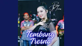 tembang tresno feat new pallapa 