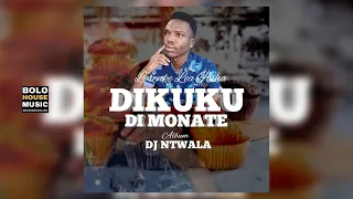 dj ntwala dikuku di monate official audio 2021 