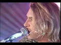 DEF LEPPARD Animal (Acoustic)