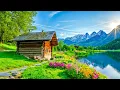Download Lagu Maiga mūzika, nomierina nervu sistēmu un priecē dvēseli 🌿 dziedinoša mūzika sirdij un asinsvadiem #