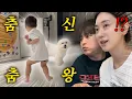 Download Lagu [VLOG] 이 집엔 조용할 날이 없다..🤣💦 | 부산 ep.1
