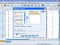 Pearson Correlation - SPSS