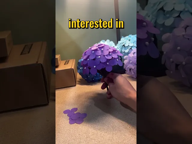 Blue Hydrangea! video thumbnail