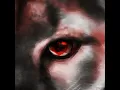 Cougar