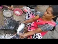 Download Lagu Beautiful Village Aunty Fish Cleaning || Amazing Fish Cleaning
