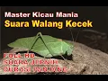 Download Lagu Master Belalang Kecek Durasi 1 Jam + Terapi Suara Air Mengalir   FULL HD