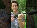 Cazando con la pistola de balines mas barata de Walmart