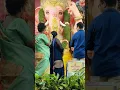 Download Lagu Om Gan ganpate devay Namah Om Ganpati devay Namah