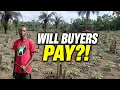 BREAKING Liberian Farmer Heads to Market Ready to Negotiate What Happens Next May Surprise You