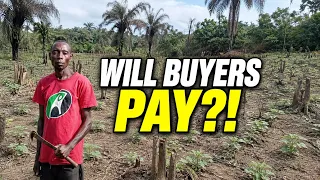 BREAKING Liberian Farmer Heads to Market Ready to Negotiate What Happens Next May Surprise You