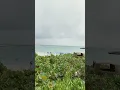 Download Lagu Vakantie: Ochtend strandvertraging - snelle storm, hoop ik