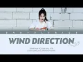 Lagu SNH48 Yuan YiQi (袁一琦) - Wind Direction / 风向 | Color Coded Lyrics CHN/PIN/ENG/IDN