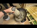 How To Change Craftsman Vacuum Filter - Easy Guide