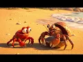 Little Crab and the Shell of Dreams