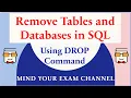 Drop Tables Databases in SQL Database DROP Command Relational DBMS SQL for Beginners