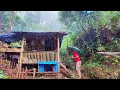 Download Lagu Dingin Suhu 15 ° 🥶 Tiap Hari Hujan Deras - Tinggal Di Pondok Tepi Sungai Berkebun - Bluetti AC70 