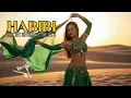 Habibi Remix Party Beats 2025 🎵 | Arabic DJ Mix with Deep Desert Energy 🔥
