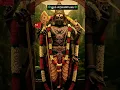 Download Lagu ஓம் சரவணபவ#murugan #முருகன்வழிபாடு #murugansongs #kandharanuboothi #velmaral #thiruchentur#muruga