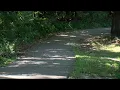 Attempted rape at Hunter Park