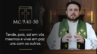 Homilia Diária | Quinta-feira - 7ª Semana do Tempo Comum (Mc 9,41-50)