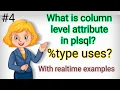 variable attributes in plsql Column Level attributes 2022
