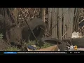 Paterson invests in new tech to prevent illegal dumping
