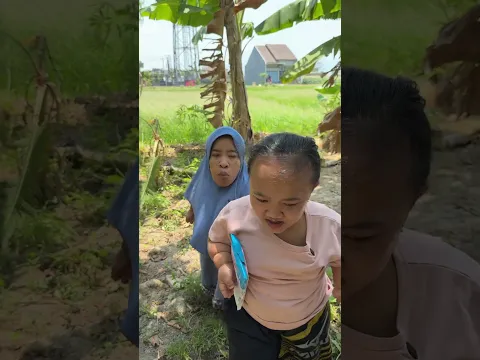 ikut saja lah