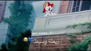 حبيبتي افتحي شباكك انا جيت    حسن شاكوش حالات واتس توم و جيري دندنها