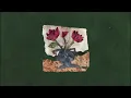 The Roses - Amber Run (Official Visualiser)