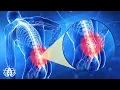Download Lagu Alpha Waves Heal Damage In The Body In 4 Minutes | Music Heals Anxiety And Depression The Whole Body