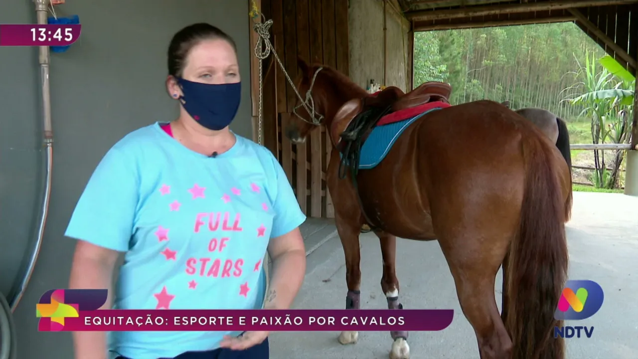 PetNews: saiba mais sobre a prática e os benefícios da equitação