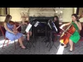 My Love by Paul McCartney - Echo String Quartet